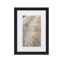 Load image into Gallery viewer, "Arribada" Mass Sea Turtle Nesting