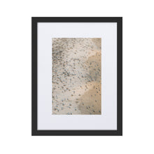 Load image into Gallery viewer, "Arribada" Mass Sea Turtle Nesting