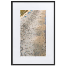 Load image into Gallery viewer, "Arribada" Mass Sea Turtle Nesting