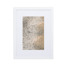 Load image into Gallery viewer, "Arribada" Mass Sea Turtle Nesting