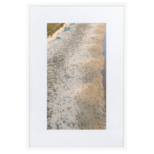 Load image into Gallery viewer, "Arribada" Mass Sea Turtle Nesting